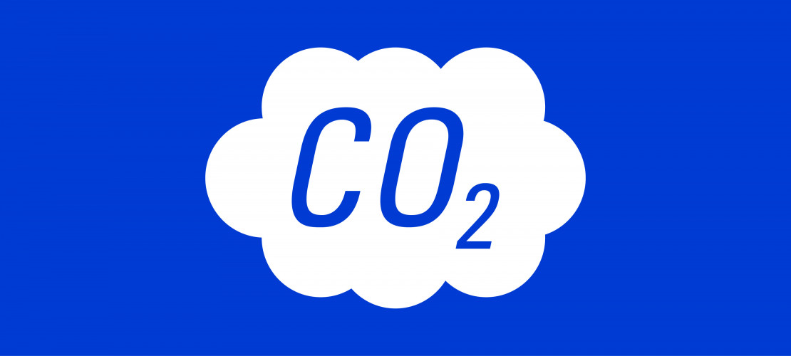 Carbon Dioxide Type